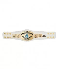 WWE 2014 Intercontinental Championship Mini Replica Title Belt $26.88 Title Belts