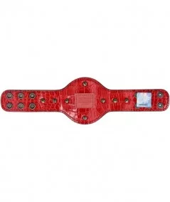 World Heavyweight Championship Mini Replica Title Belt $26.88 Title Belts