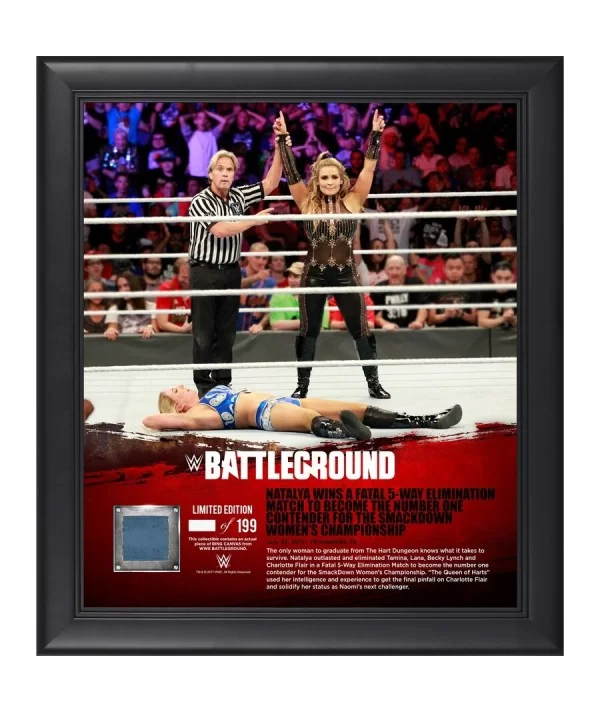 Natalya Framed 15" x 17" 2017 Battleground Collage with a Piece of Match-Used Canvas - Limited Edition of 199 $26.32 Home & O...